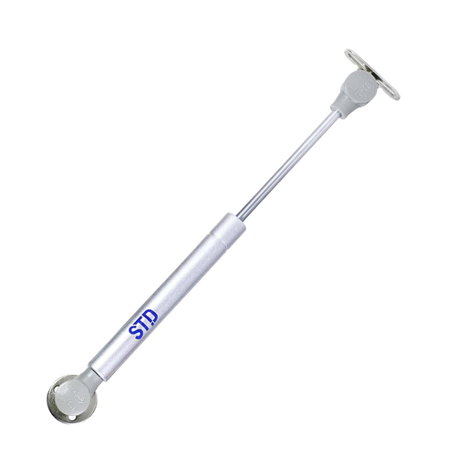 GAZLI DOLAP PİSTONU 100 N 